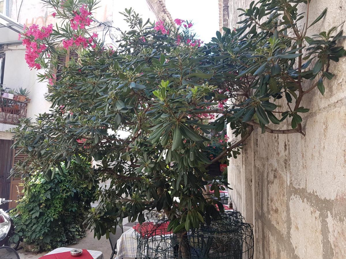 Villa Marija كريس المظهر الخارجي الصورة